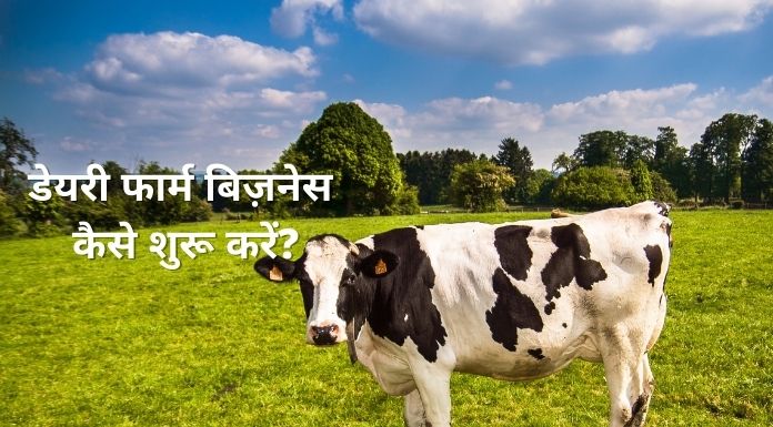 dairy farm kaise shuru kare