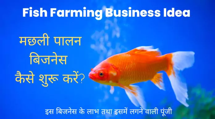 Fish Farming Business Idea : मछली पालन बिजनेस कैसे शुरू करें और कमाए महीने के 1-5 लाख रूपये? 1